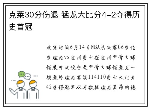 克莱30分伤退 猛龙大比分4-2夺得历史首冠