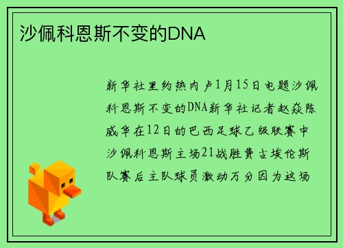 沙佩科恩斯不变的DNA