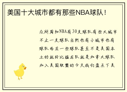 美国十大城市都有那些NBA球队！