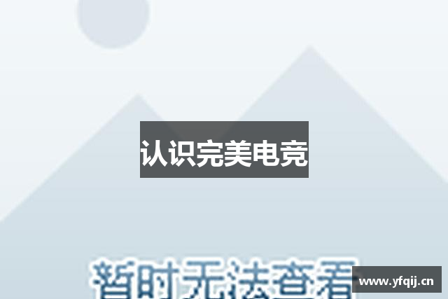 认识完美电竞